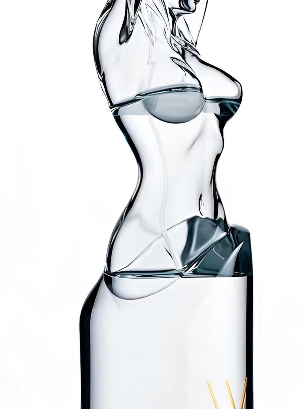 Vavoom Vodka vs Grey Goose: Which Luxury Vodka Is Better for Holiday Gifting?