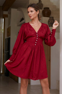 Thumbnail for Daphne Floaty Long Sleeve Mini Dress